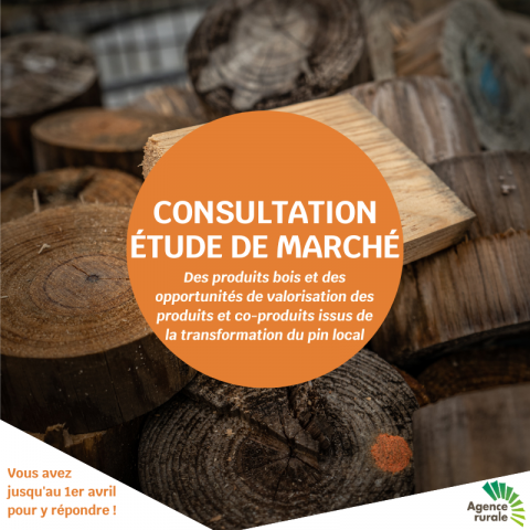 Visuel consultation Etude de marché bois.png