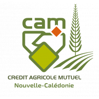 Logo_CAM.nc_.png