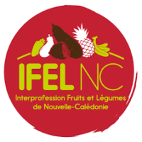 Logo_IFEL.png
