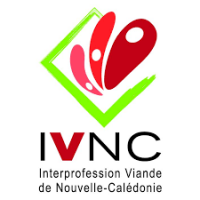 Logo_IVNC.png