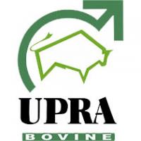 Logo_UPRA-Bovine.jpg