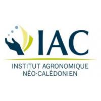 IAC logo.JPG
